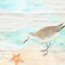 Sandpiper Beach II Poster Print by Cynthia Coulter - Item # VARPDXRB11883CC